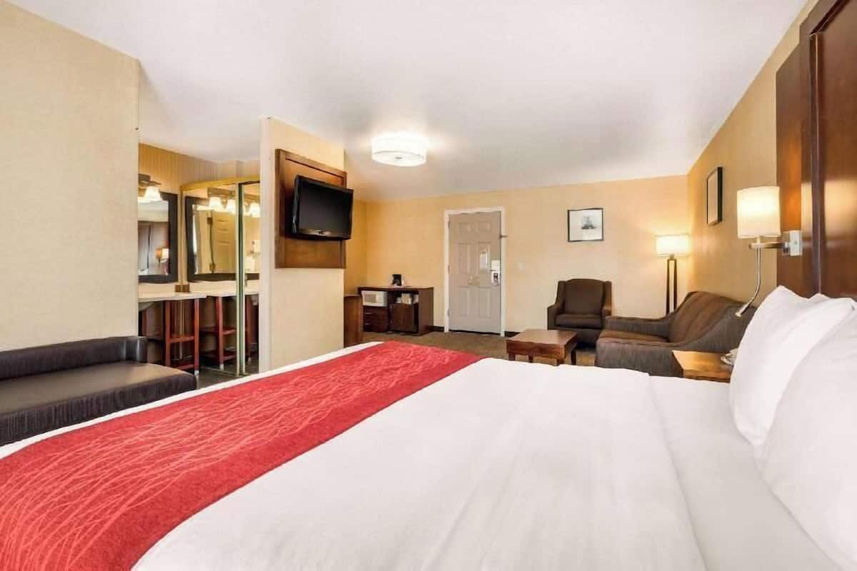A hotel room with a large bed, a sofa, a desk, a television, and a mirror.