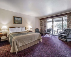 Standard Room, 1 Queen Bed, Non Smoking | Individually furnished, desk, blackout drapes, iron/ironing board