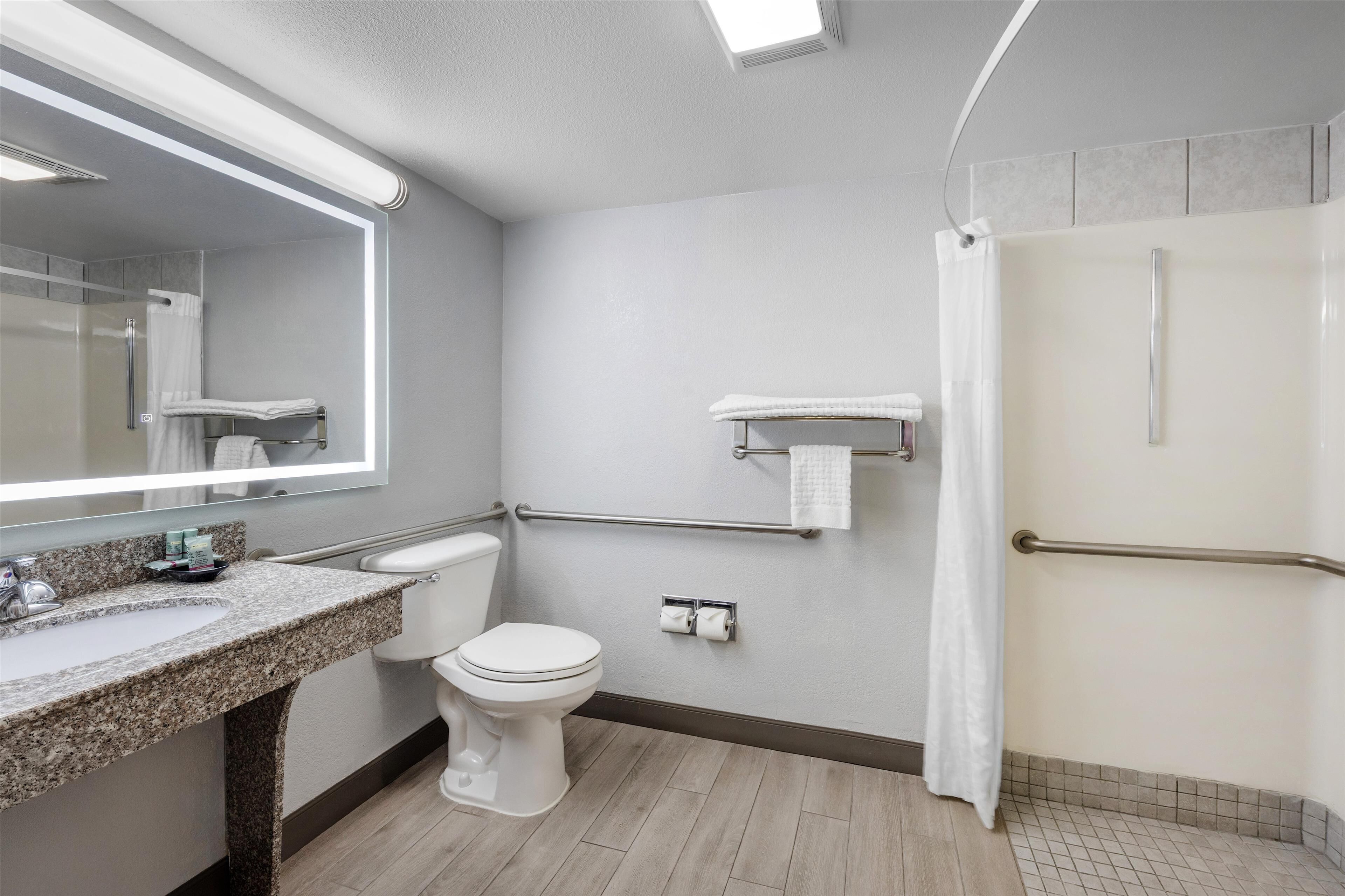 standard room, 1 king bed, accessible, refrigerator & microwave | bathroom | free toiletries, hair dryer, towels, soap