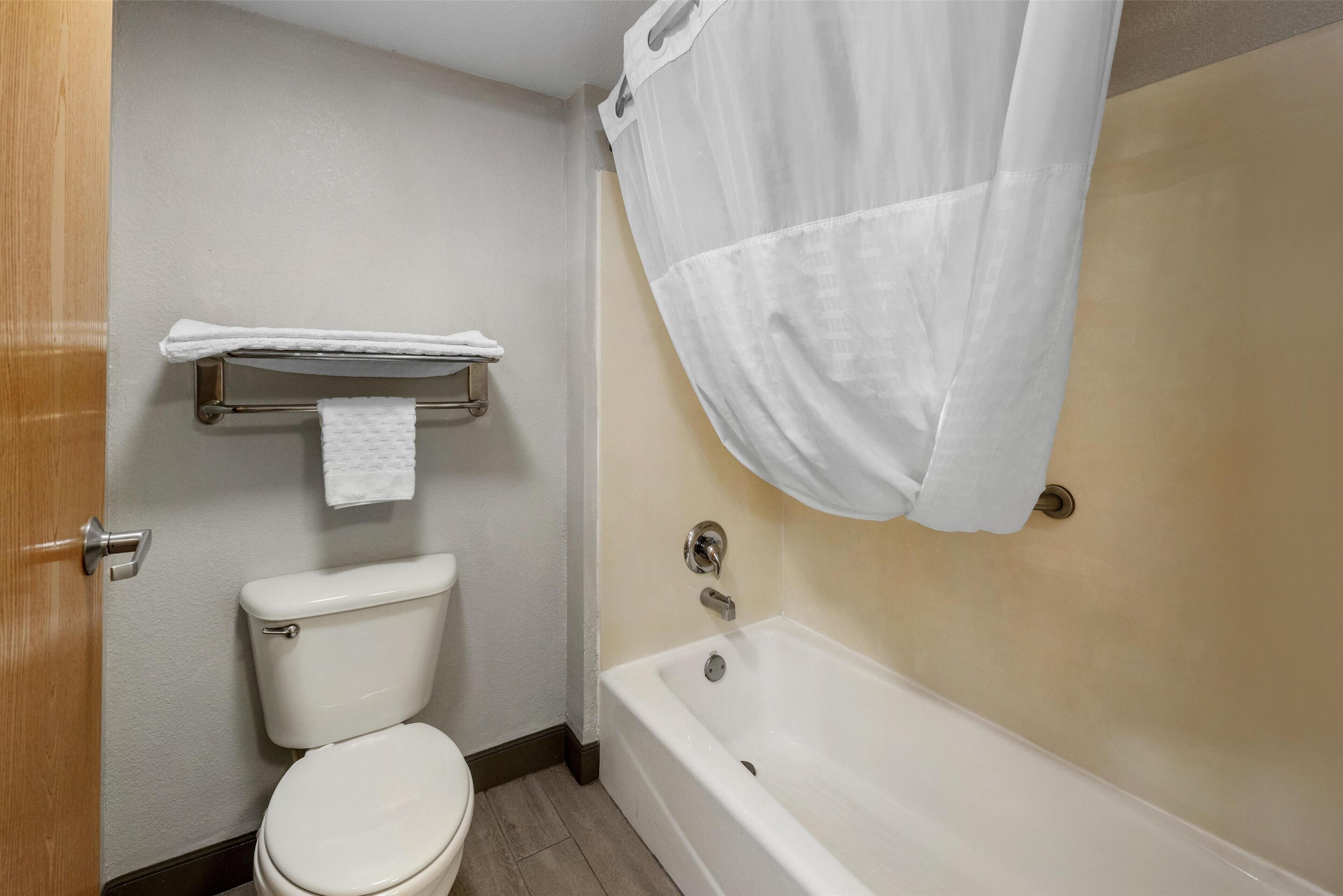 suite, 1 king bed, non smoking, jetted tub | bathroom | free toiletries, hair dryer, towels, soap