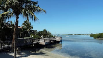 A waterfront property with a wooden dock, palm trees, and a clear blue sky.