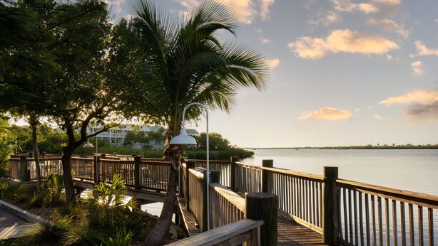 A wooden boardwalk with a palm tree and lamp post, leading to a waterfront. - Courtyard by Marriott Key West Waterfront (Key West)