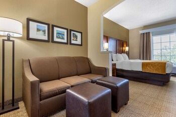 In-room safe, desk, iron/ironing board, free cribs/infant beds at Comfort Suites Myrtle Beach Central