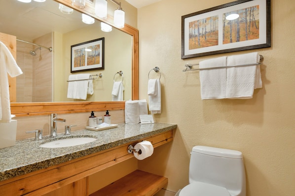 A bathroom with a granite countertop sink, a mirror, a toilet, and a framed painting on the wall.