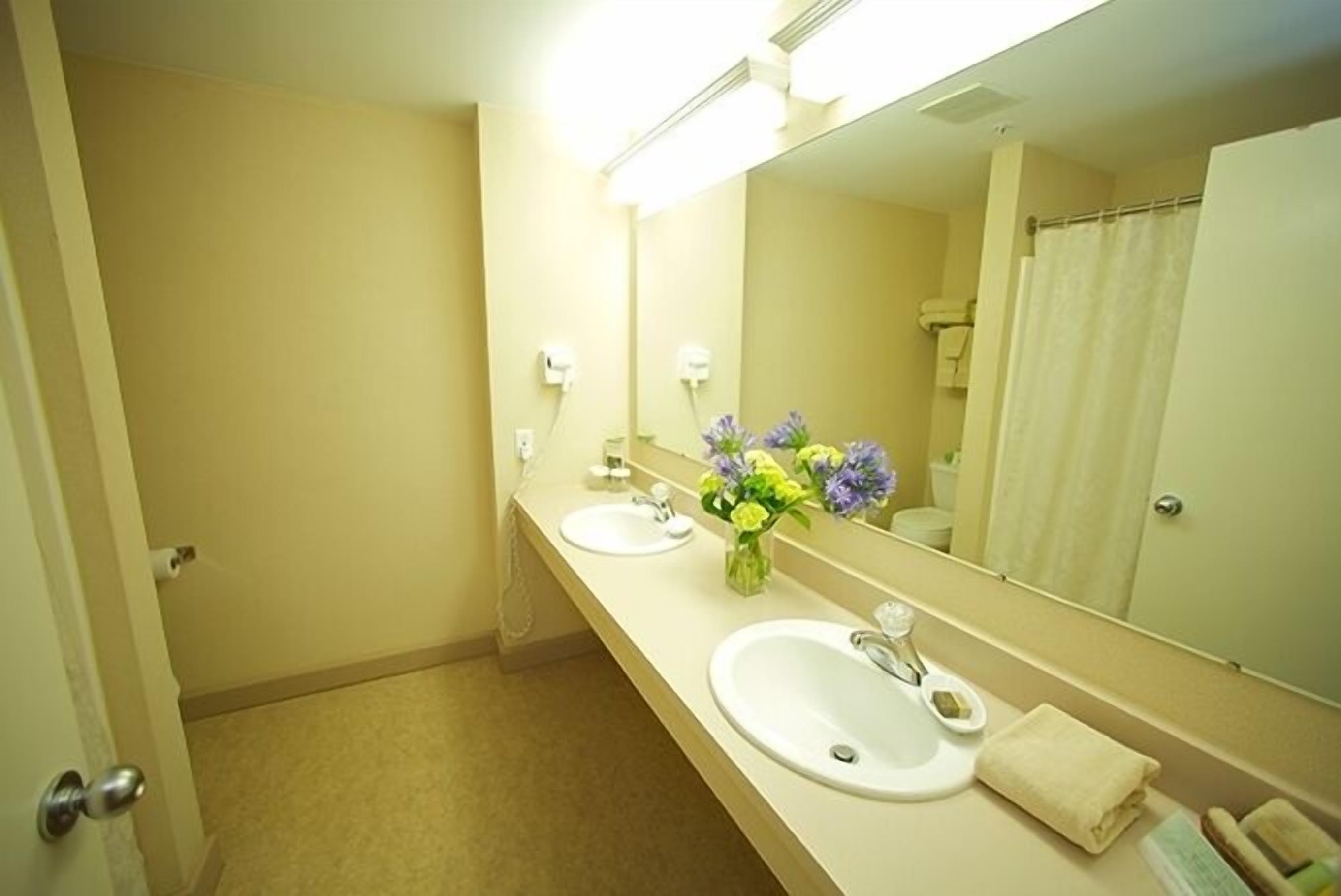 A bathroom with two sinks, a mirror, and a vase with flowers.