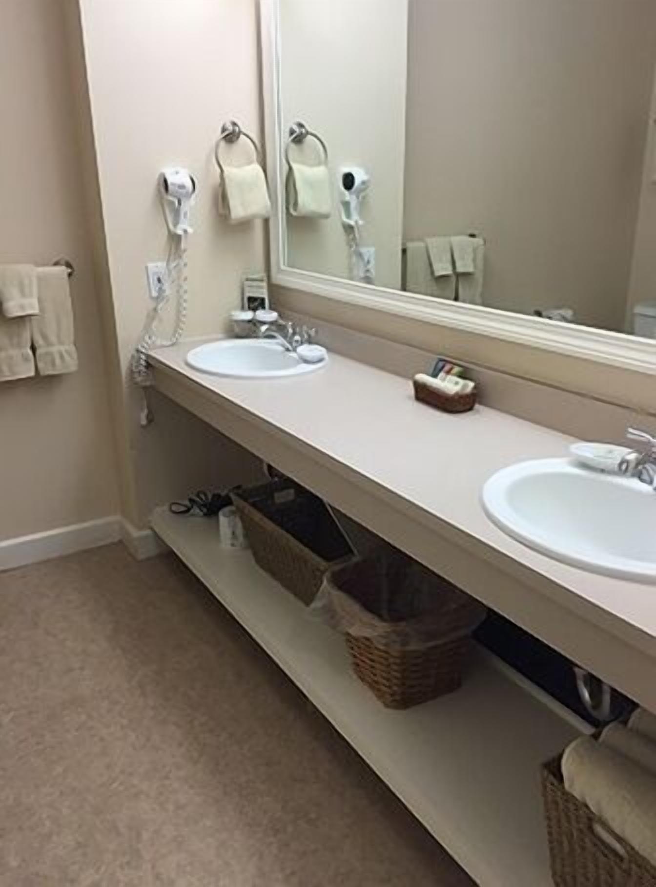 A bathroom with two sinks, a mirror, and a towel rack.