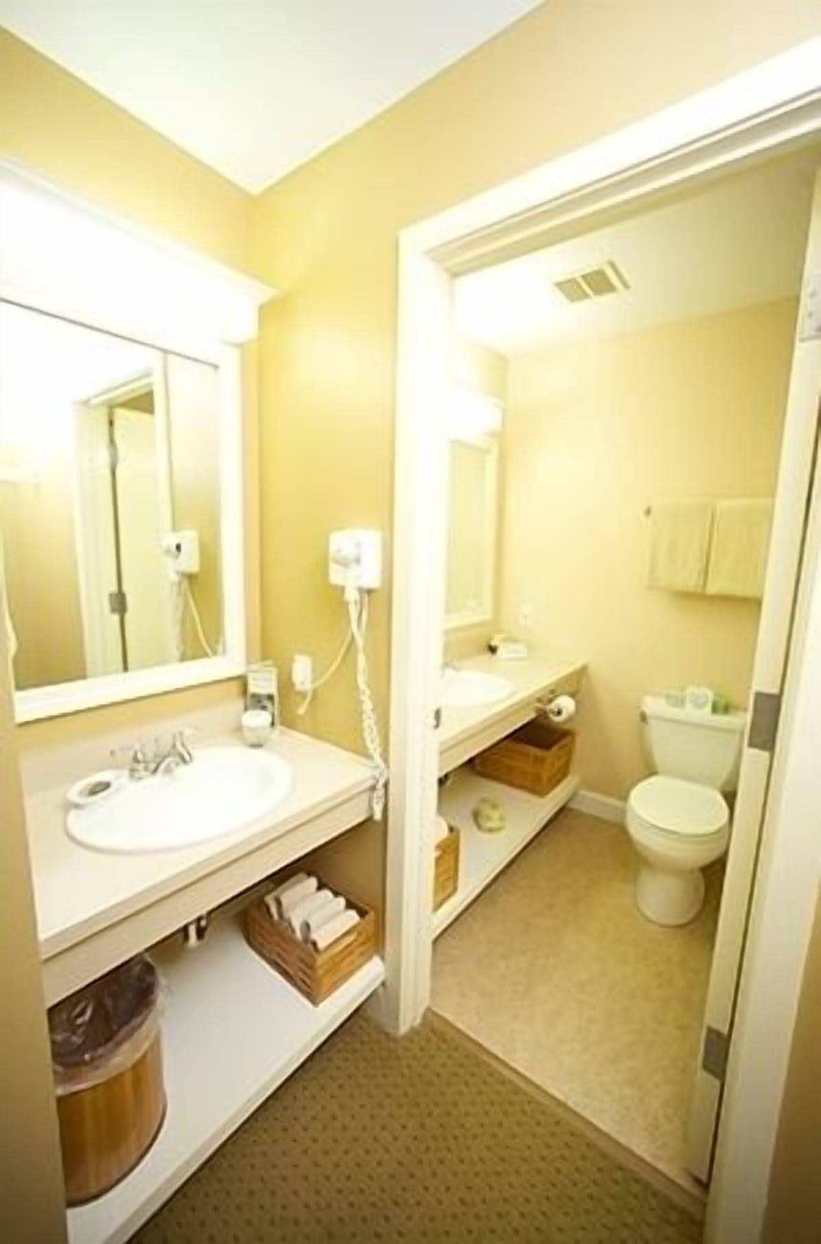 A bathroom with a sink, mirror, and toilet. There is a towel rack and a trash bin.