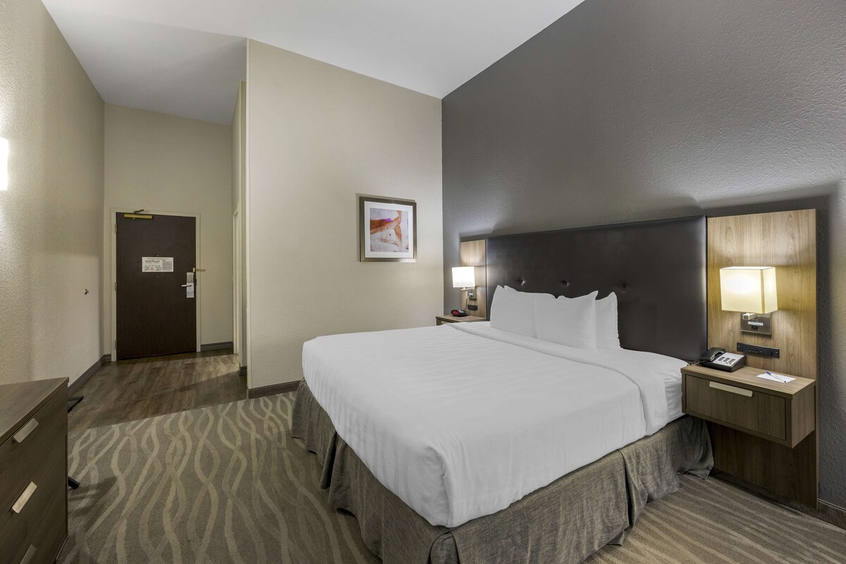 A hotel room with a large bed, a nightstand with a lamp, a door, and a framed picture on the wall.