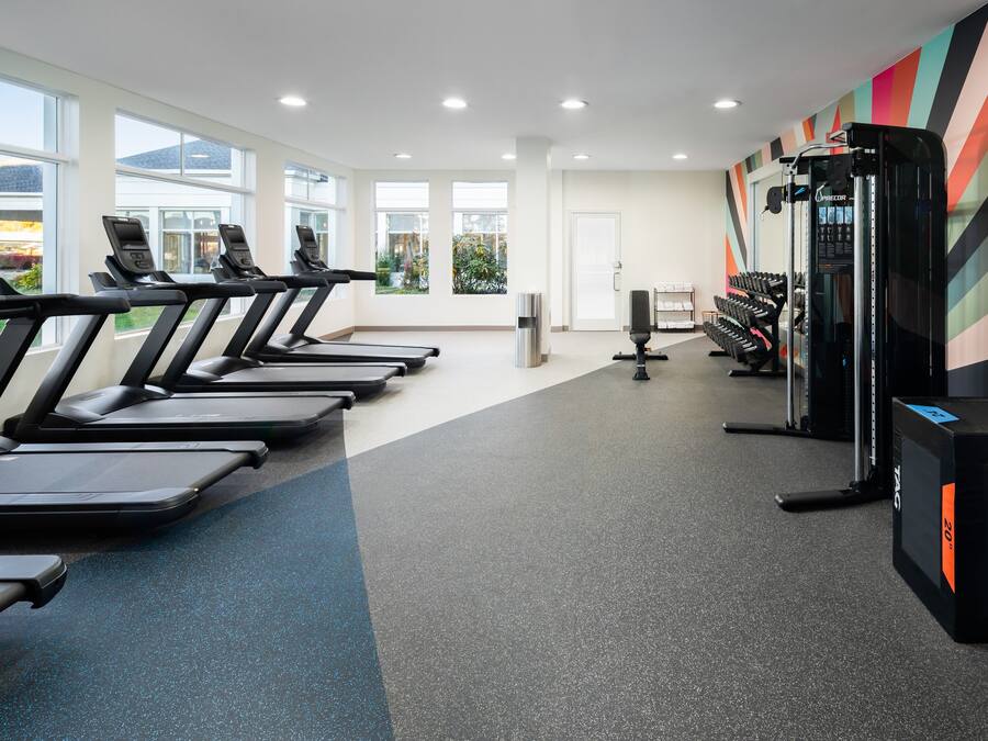 Un gimnasio con cintas de correr, máquinas de pesas y mancuernas.
