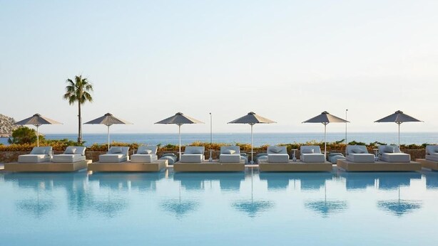 Une piscine avec des chaises longues et des parasols, un palmier, et une vue sur la mer.