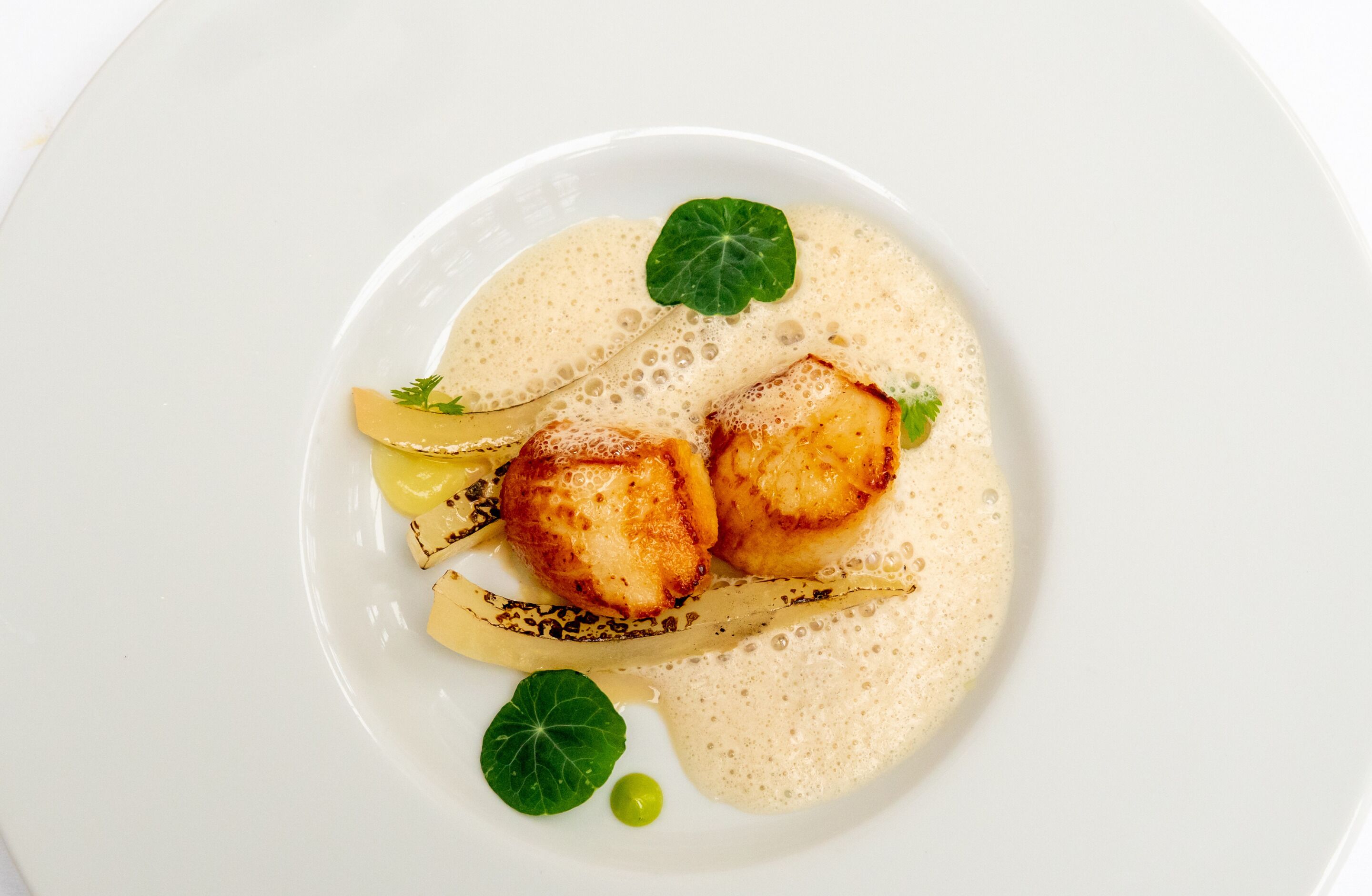 Une assiette contenant des Saint-Jacques poêlées, des quartiers de citron et une sauce crémeuse, le tout agrémenté d’une feuille.