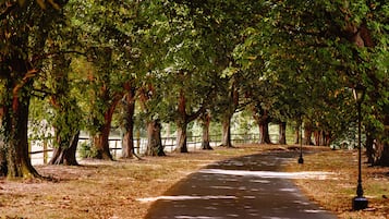 Un sendero bordeado de árboles en un parque, con un camino pavimentado y una valla de madera al fondo.