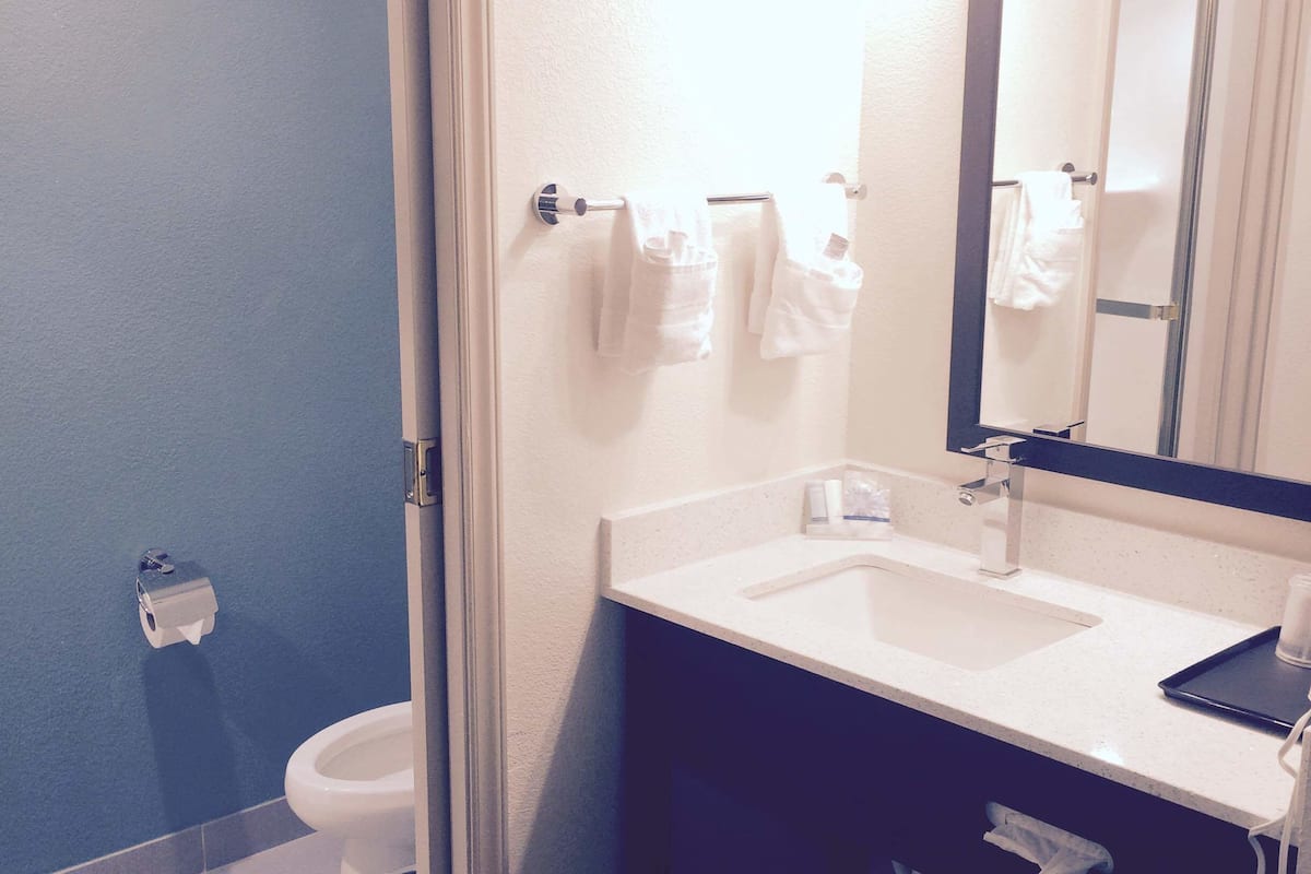 shower, free toiletries, hair dryer, towels