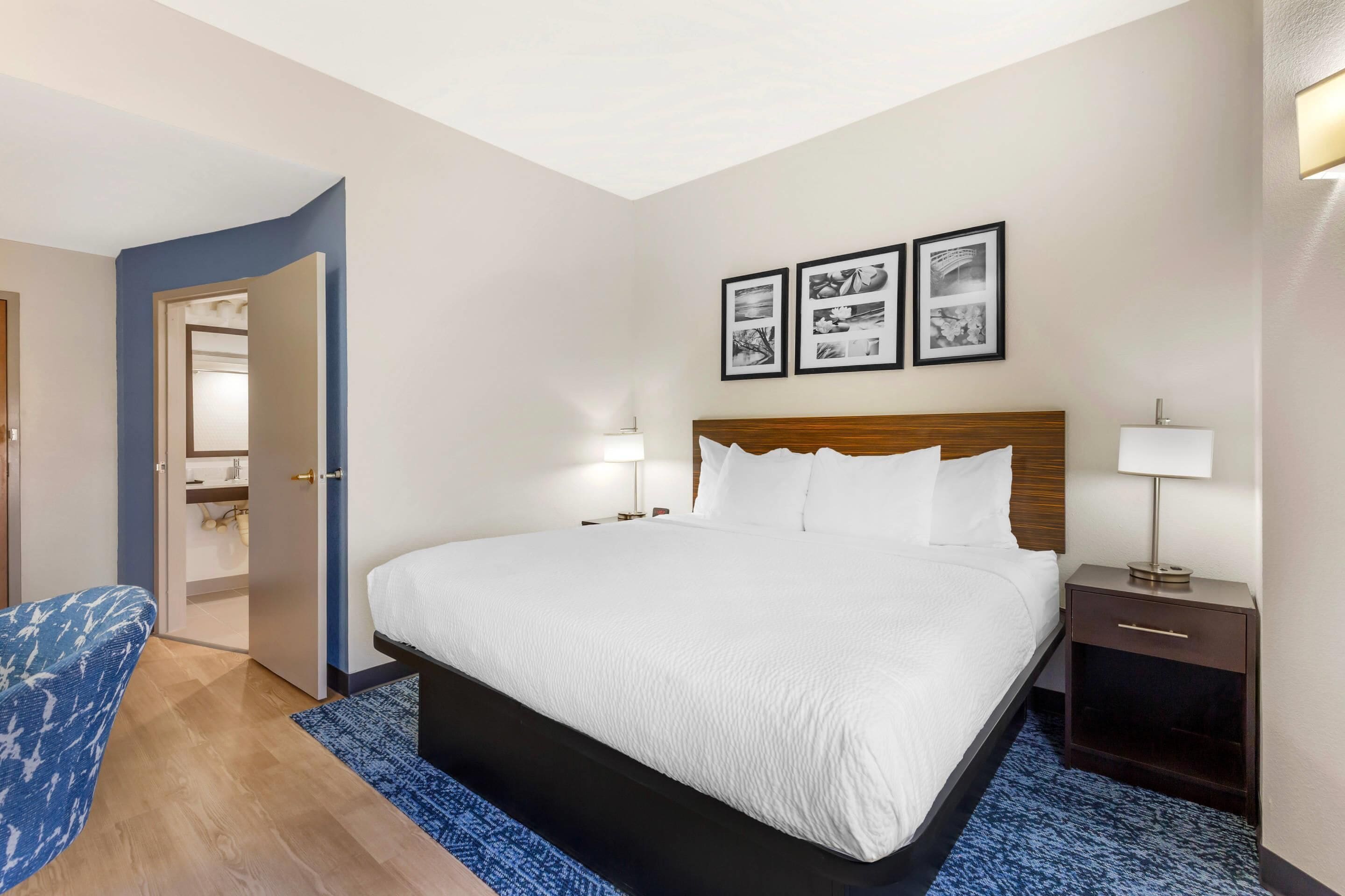 Room, 1 King Bed, Accessible, Non Smoking | Desk, laptop workspace, iron/ironing board, rollaway beds