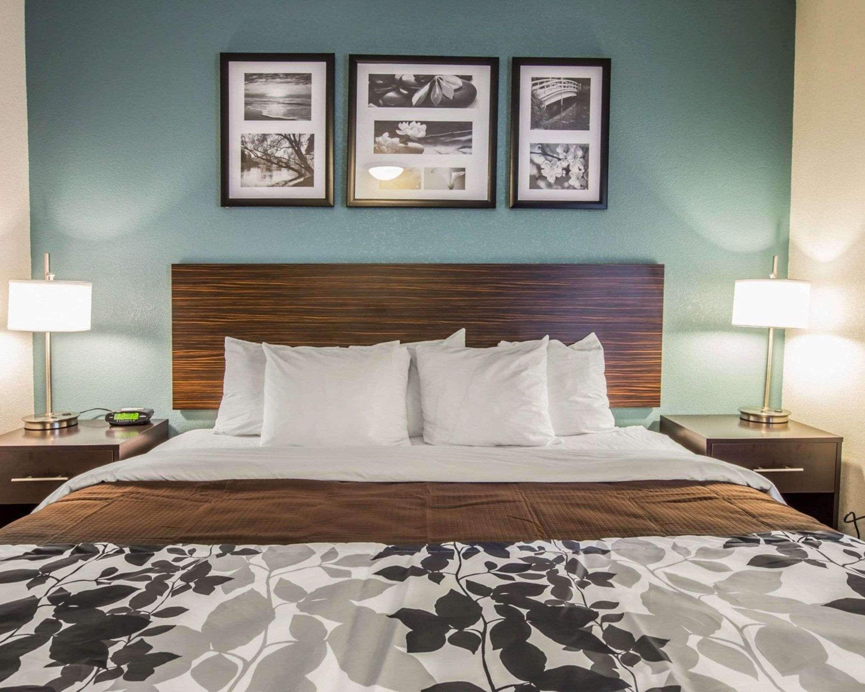 standard room, 1 king bed, accessible, non smoking | desk, laptop workspace, iron/ironing board, rollaway beds