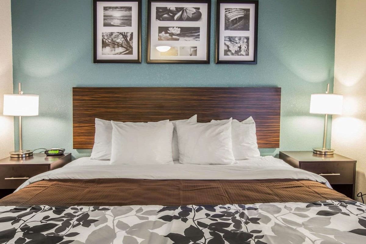 standard room, 1 king bed, accessible, non smoking | desk, laptop workspace, iron/ironing board, rollaway beds