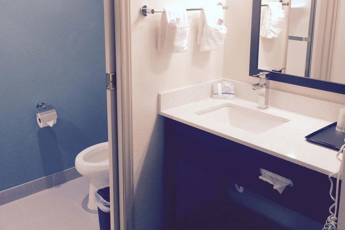 Une salle de bain avec des toilettes, un lavabo et un miroir.
