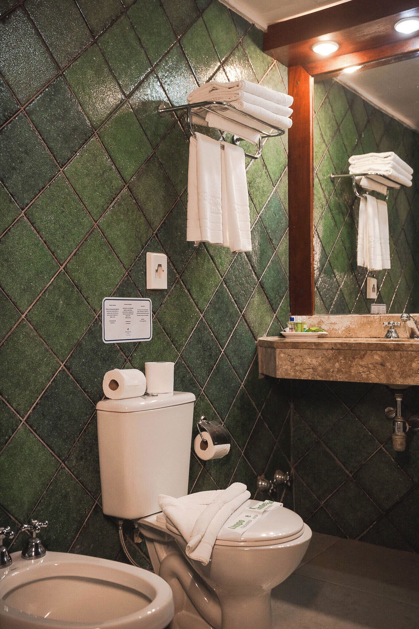 A bathroom with a green diamond-patterned wall, a toilet with a paper towel holder, a sink with a mirror, and a towel rack.