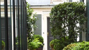 A narrow alleyway with potted plants lining one side and a building with a door and windows on the other. - Hotel De La Jatte (Neuilly-sur-Seine)