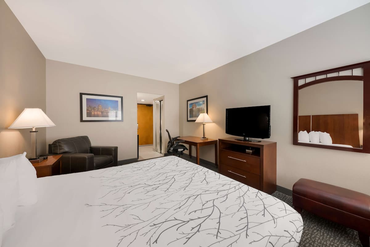 A hotel room with a large bed, a desk, a chair, a TV, and a mirror.