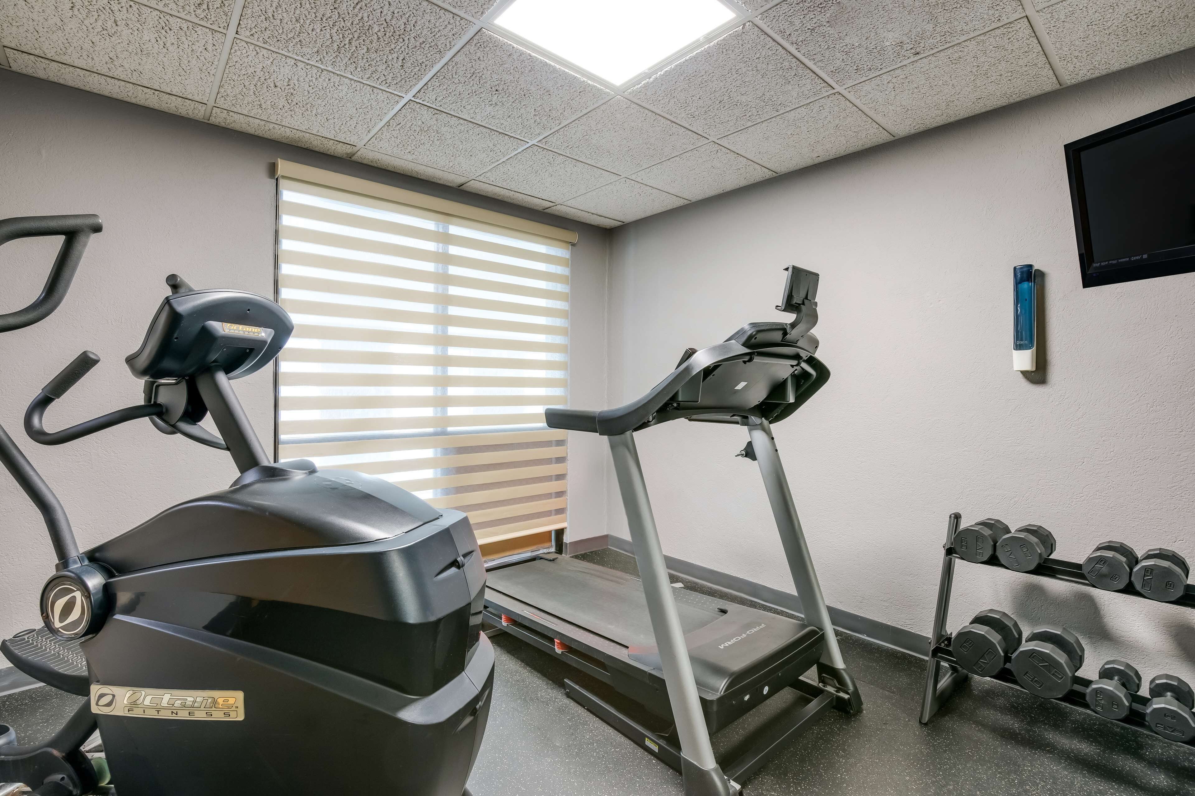 A gym with exercise equipment including a treadmill, elliptical, and a stationary bike. There is a rack of dumbbells and a TV mounted on the wall.