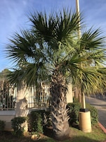 Jardín