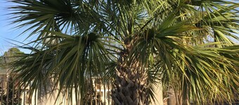 Days Inn by Wyndham Nacogdoches/SFA University/Downtown