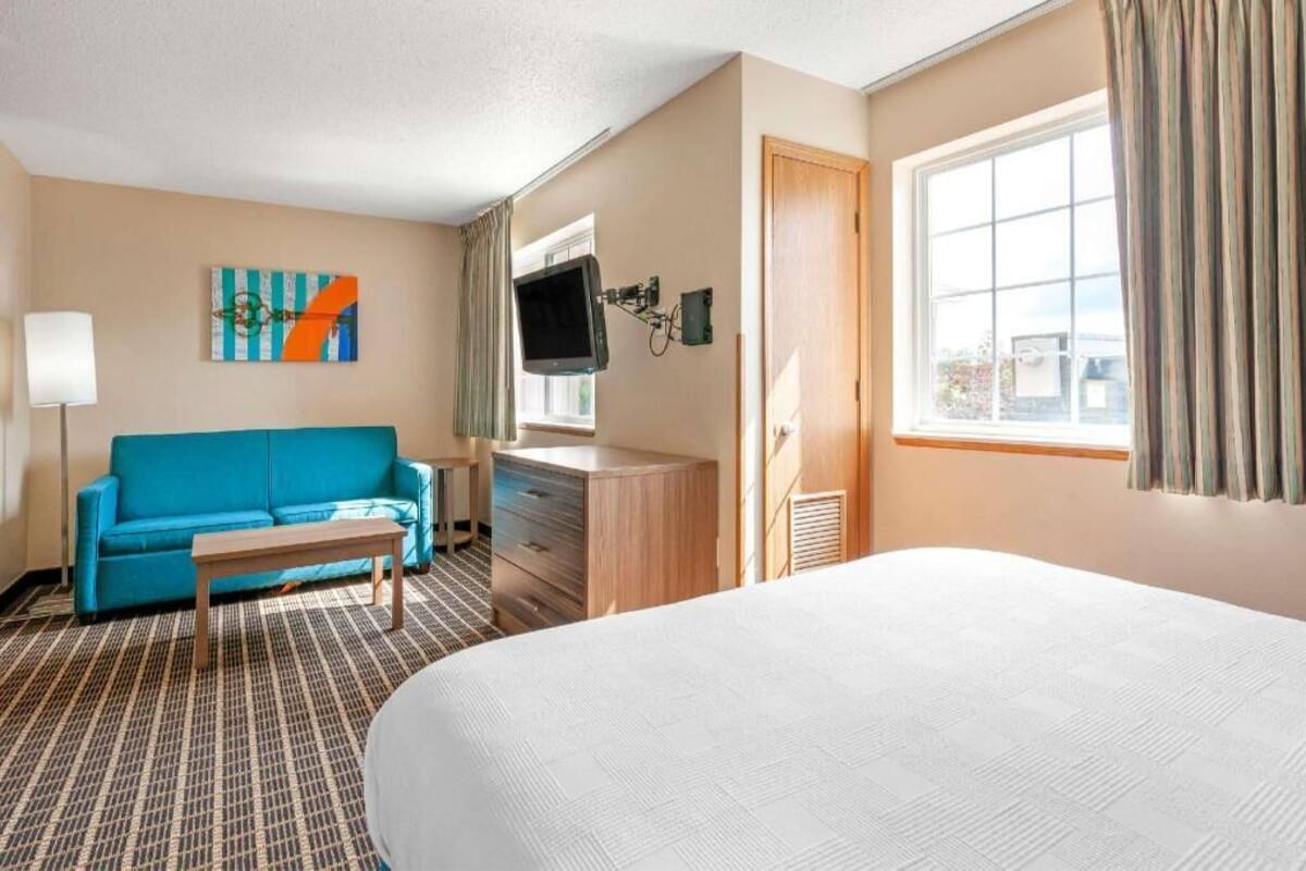 A hotel room with a large bed, a blue sofa, a desk with a TV, and a window with curtains.