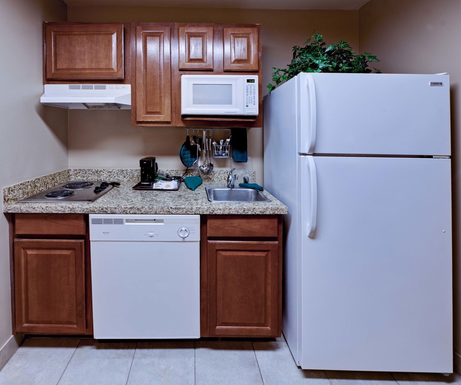 Private kitchen | Fridge, microwave, stovetop, dishwasher