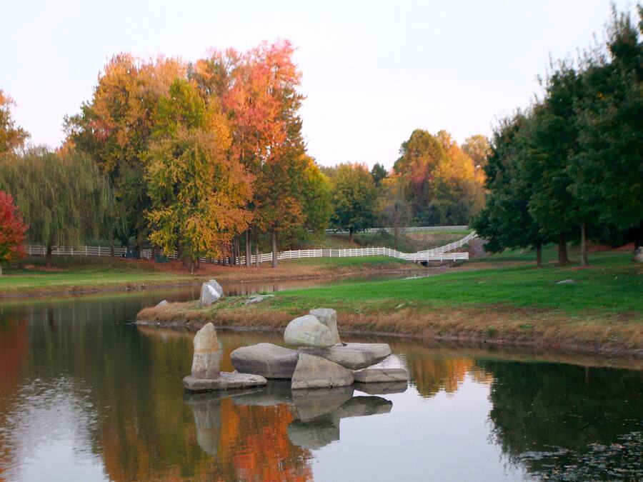 A serene park with a pond, autumn trees, and a white fence.