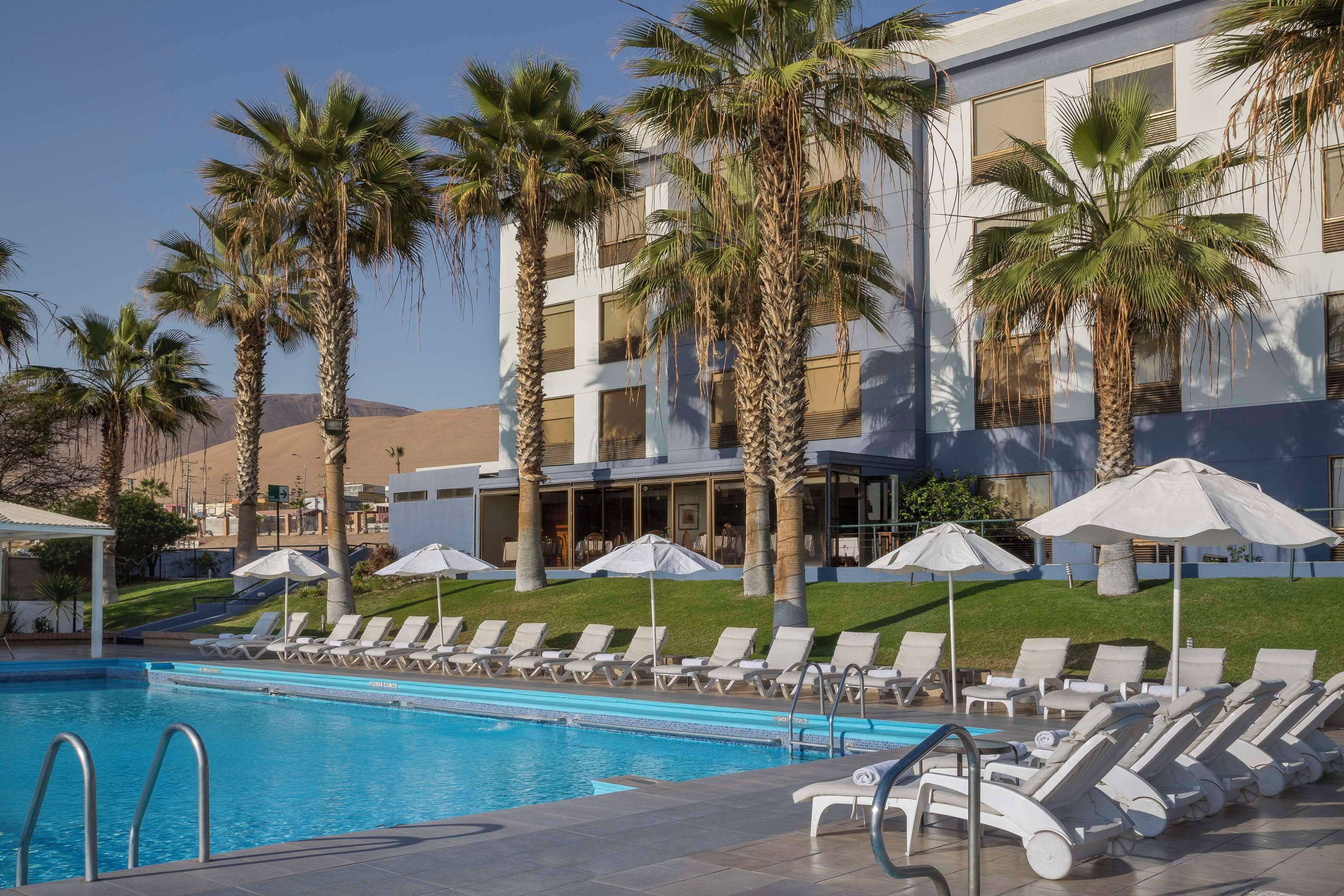 outdoor pool, pool loungers