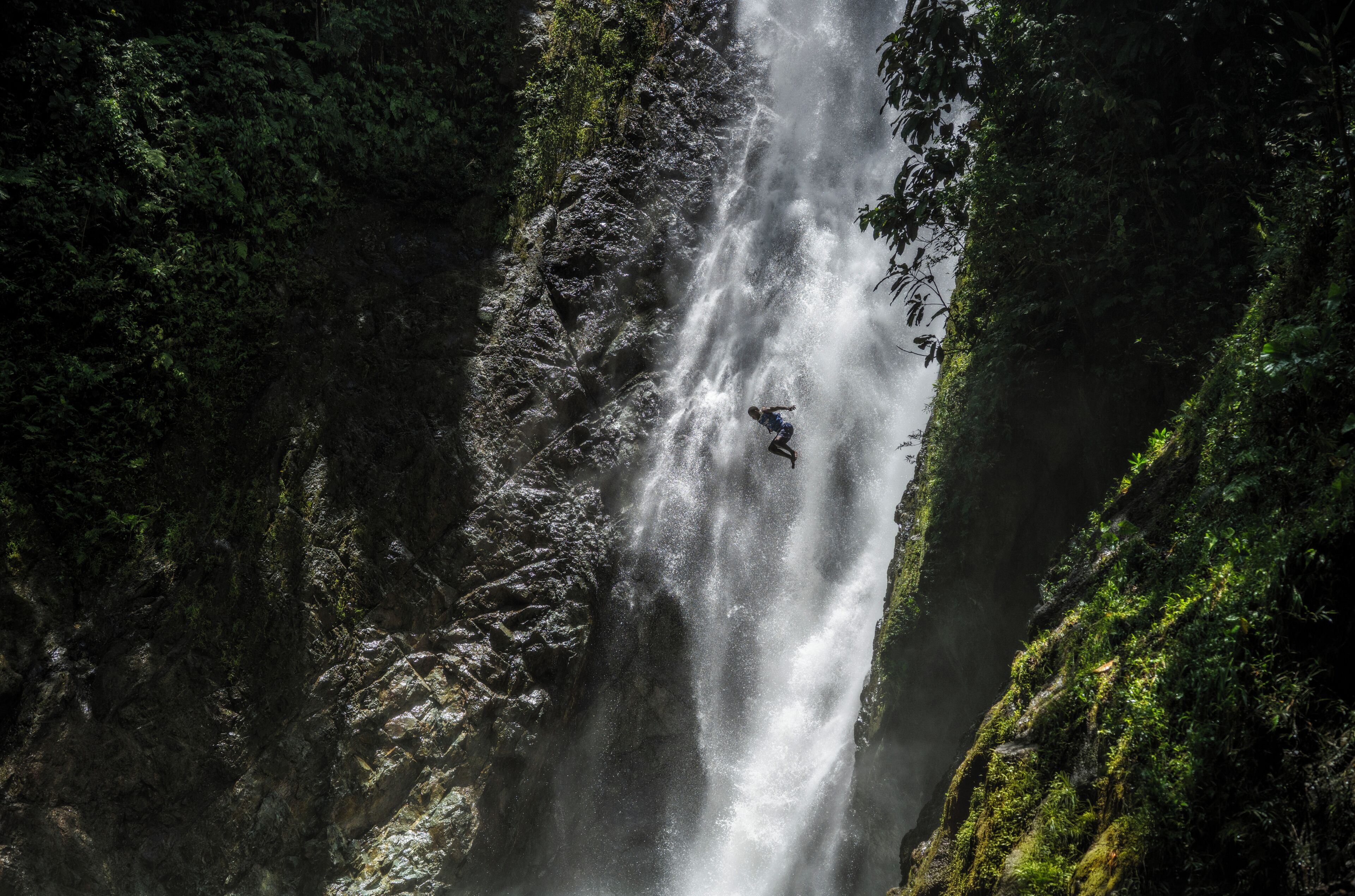 Una cascada rodeada de un bosque frondoso.