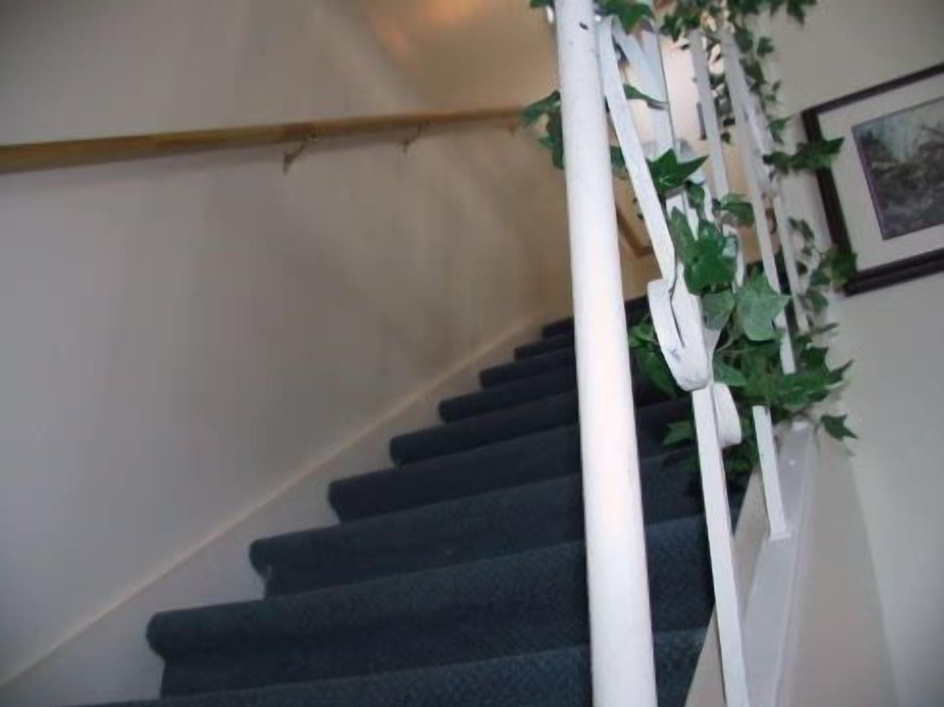 A staircase with dark carpeted steps, white handrails, and green foliage decorations.