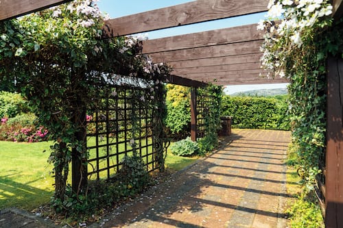 Tuin