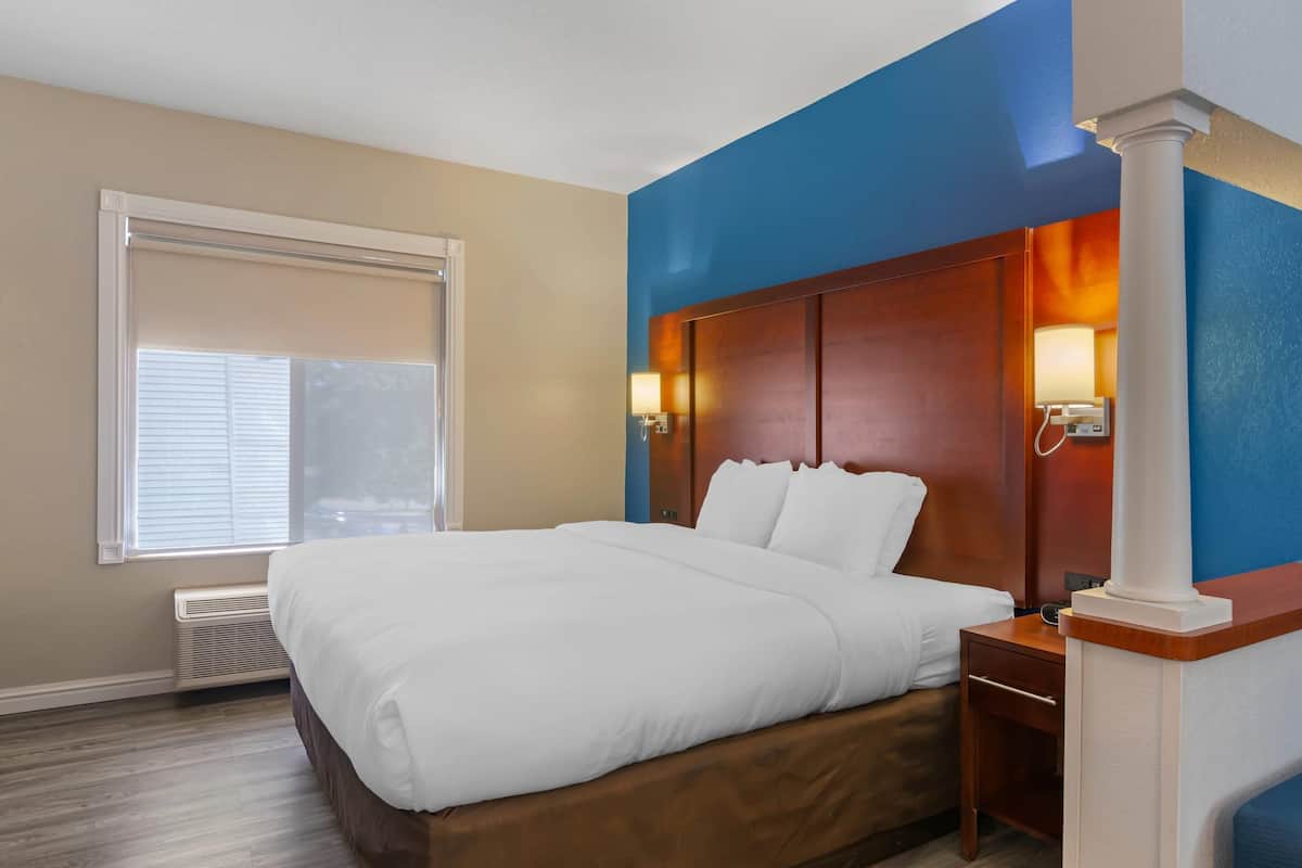 Suite, 1 cama de matrimonio grande, no fumadores | Caja fuerte, escritorio, espacio para trabajar con un portátil