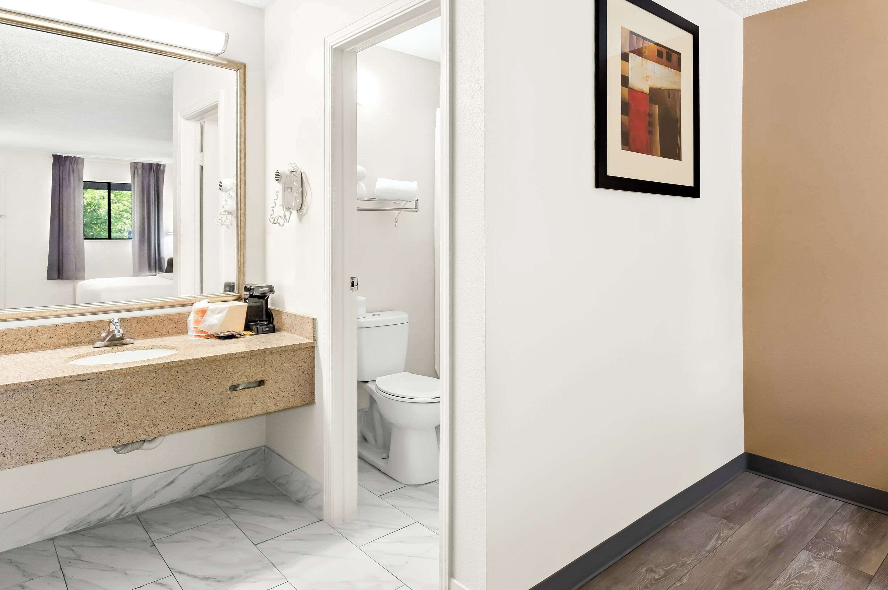 A modern bathroom with a granite countertop, a large mirror, a toilet, and a framed picture on the wall.