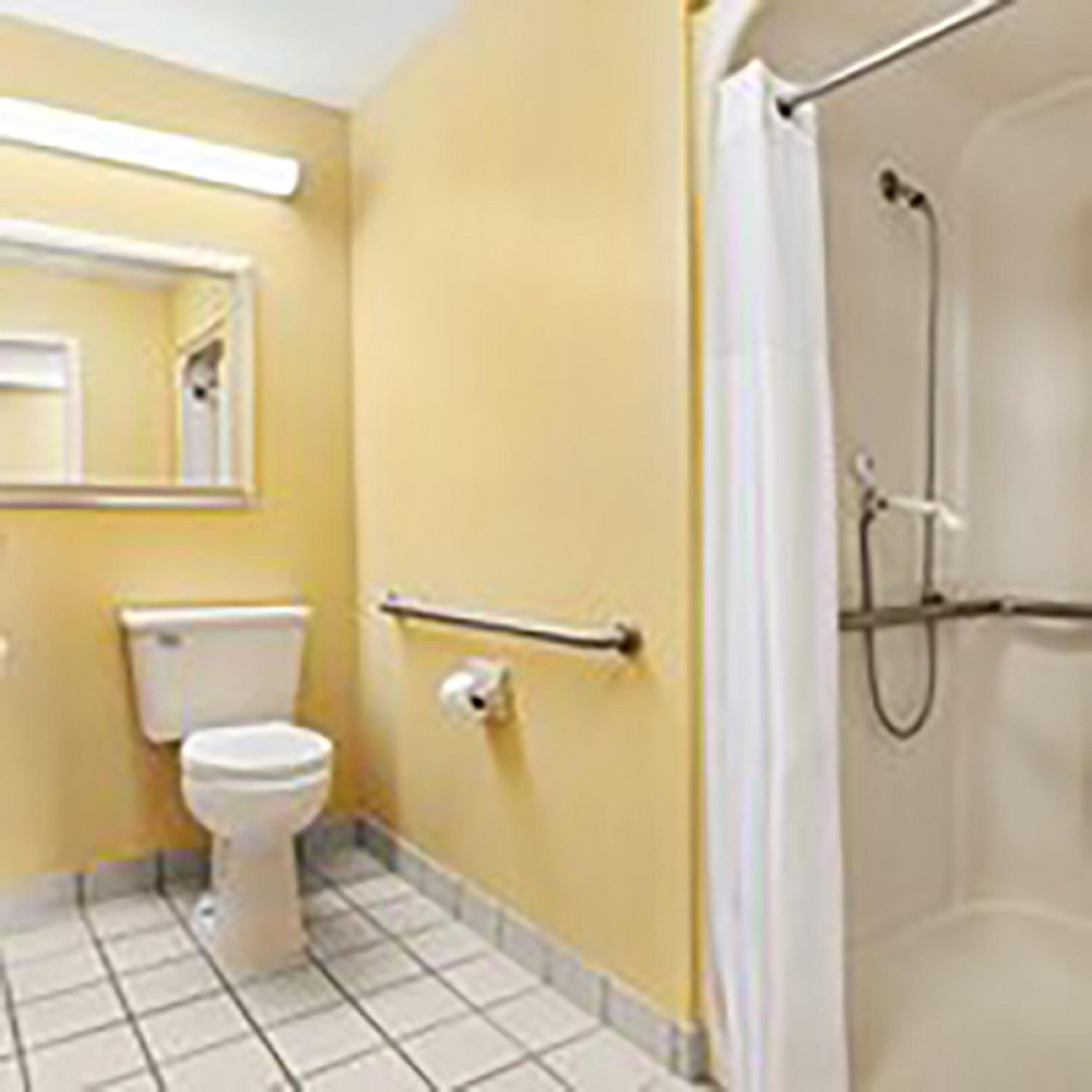 A bathroom with a toilet, a sink, a mirror, and a shower.