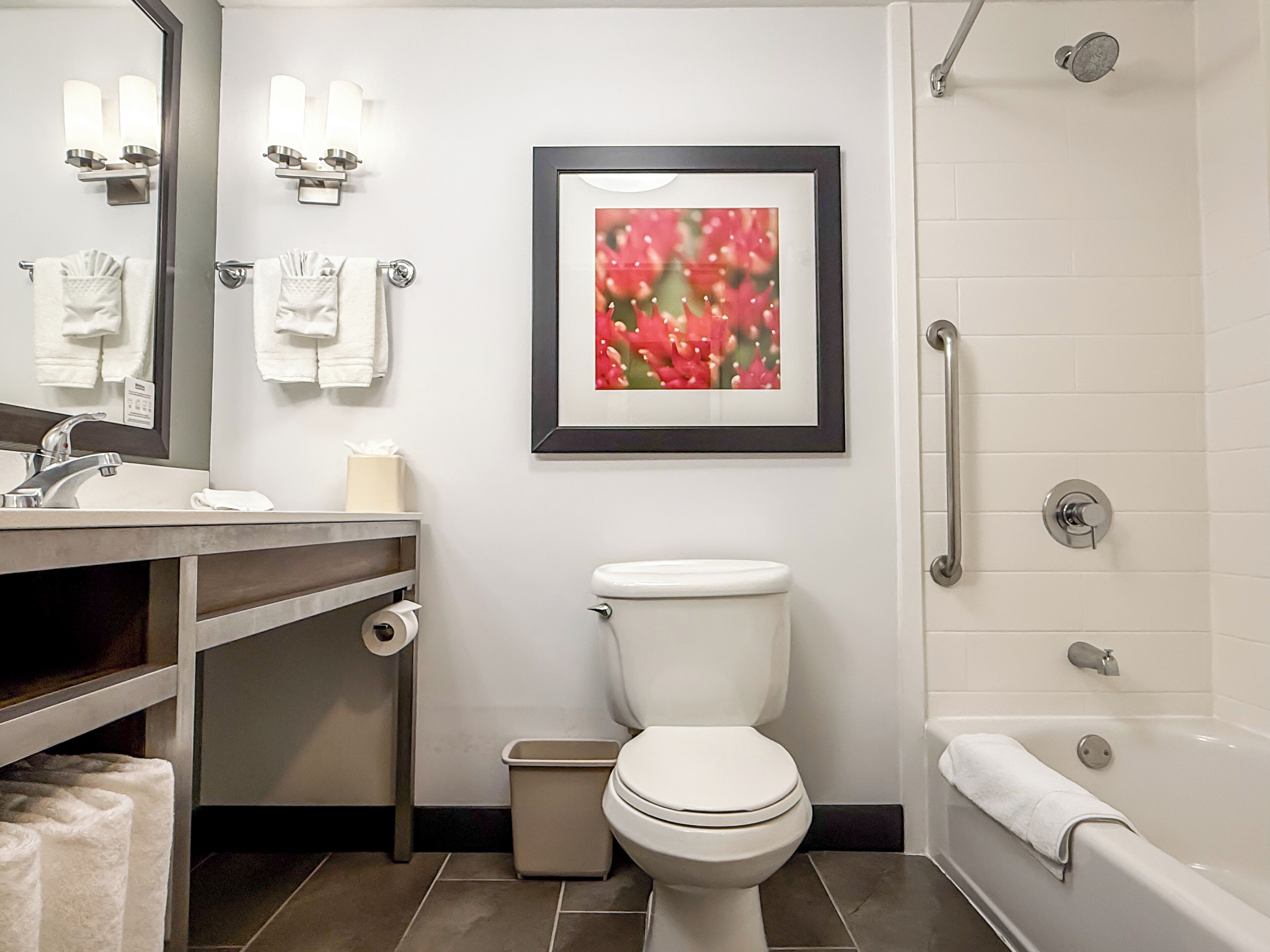 combined shower/bathtub, free toiletries, hair dryer, towels