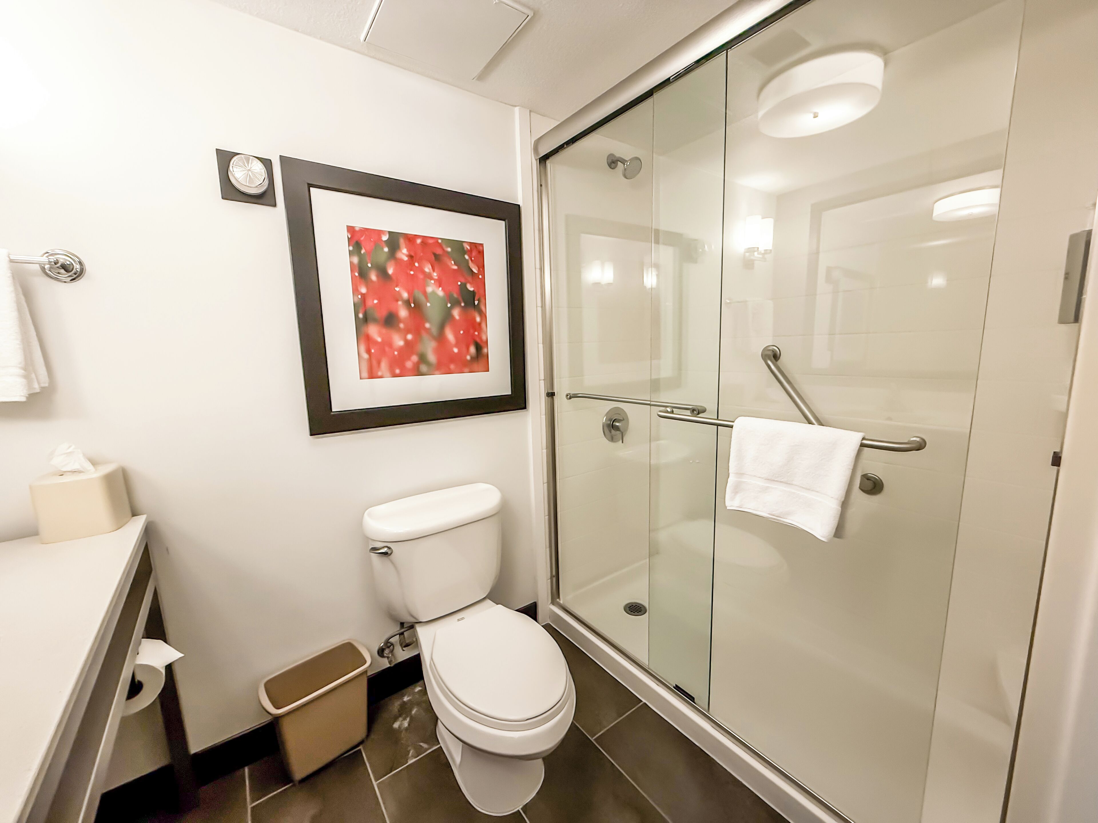 room, 1 king bed, accessible | bathroom | combined shower/bathtub, free toiletries, hair dryer, towels