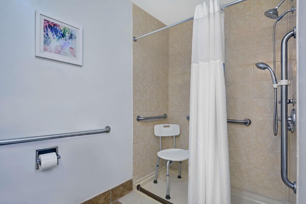A shower area with a handrail, a toilet, and a roll of toilet paper.