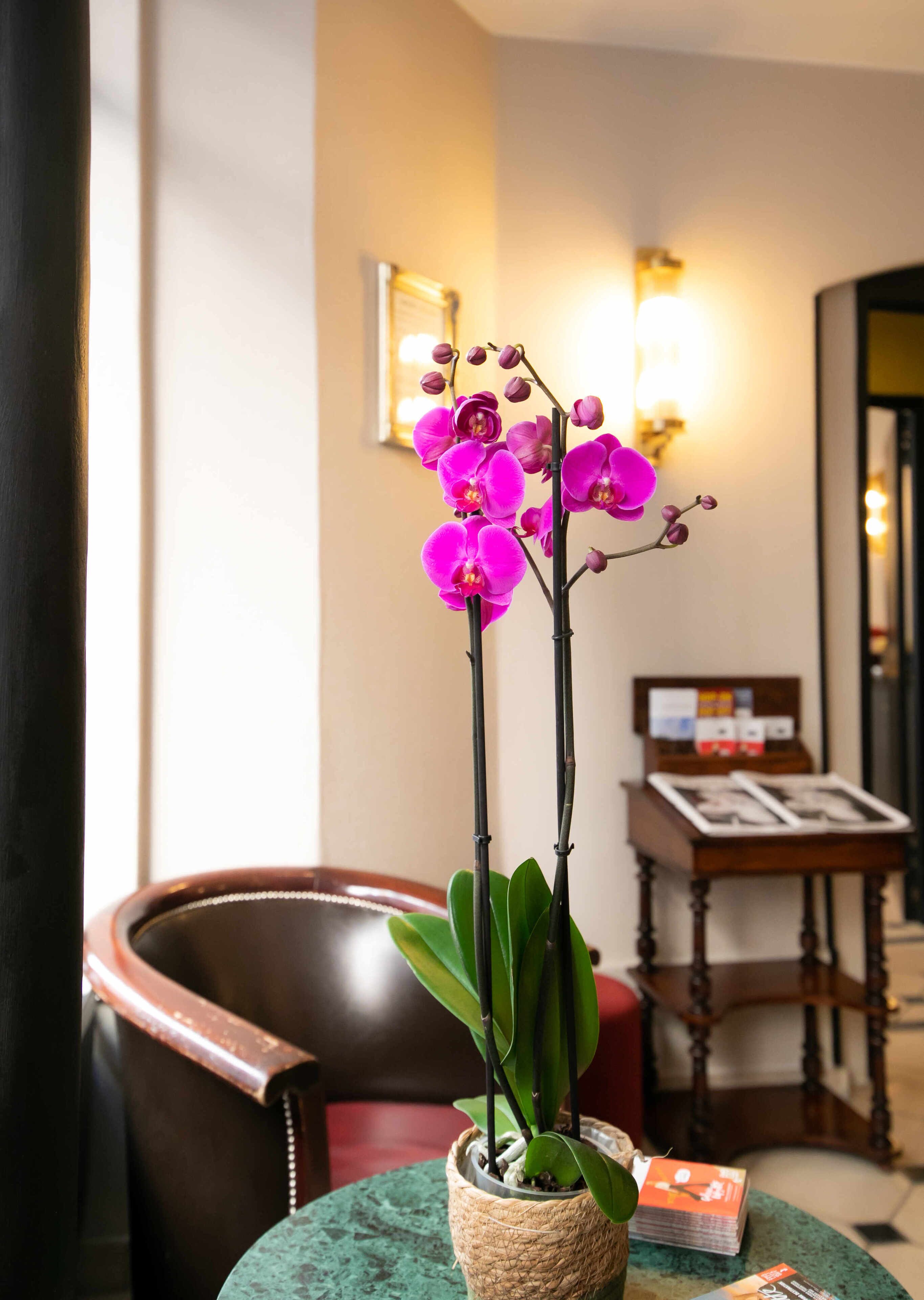 Foto - Hôtel Eiffel Rive Gauche