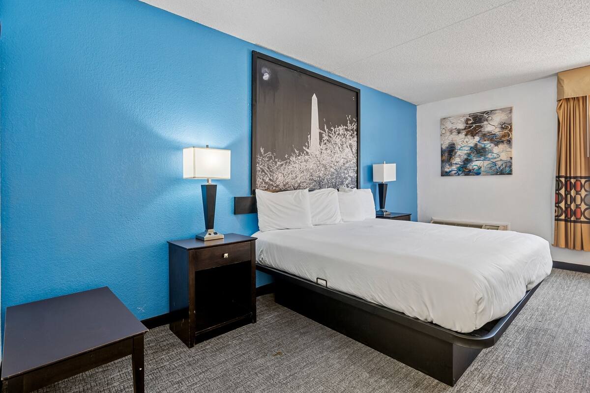 Room, 1 King Bed, Non Smoking | Desk, laptop workspace, blackout drapes, iron/ironing board