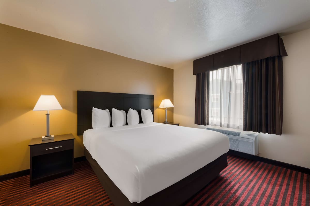 A hotel room with a large bed, two bedside tables with lamps, a window with curtains, and a red and black striped carpet.