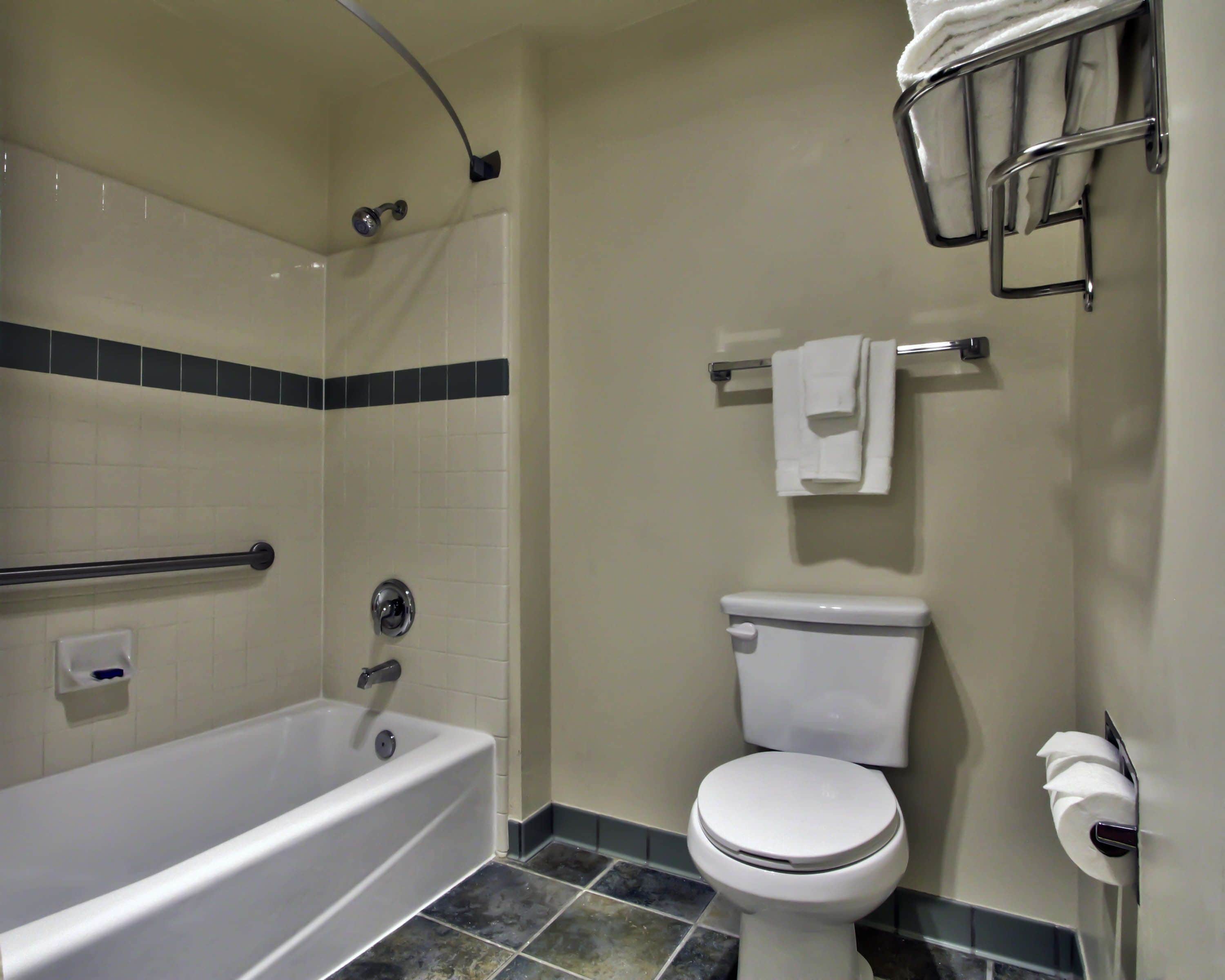 Une salle de bain avec une baignoire, des toilettes et un porte-serviettes.