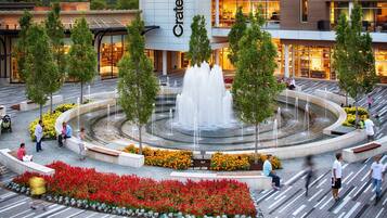 Una plaza pública con una fuente central, rodeada de árboles y parterres florales.
