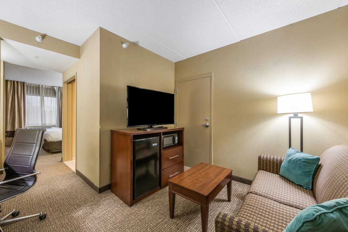 Suite, 1 King Bed with Sofa bed, Accessible, Non Smoking | Desk, blackout curtains, iron/ironing board, free cots/infant beds