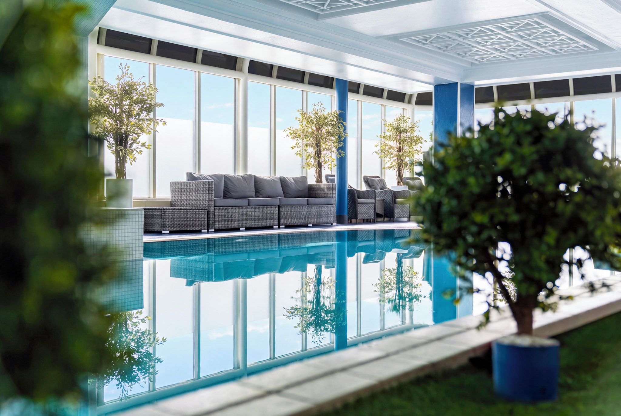 A modern indoor pool area with a sofa and potted plants.