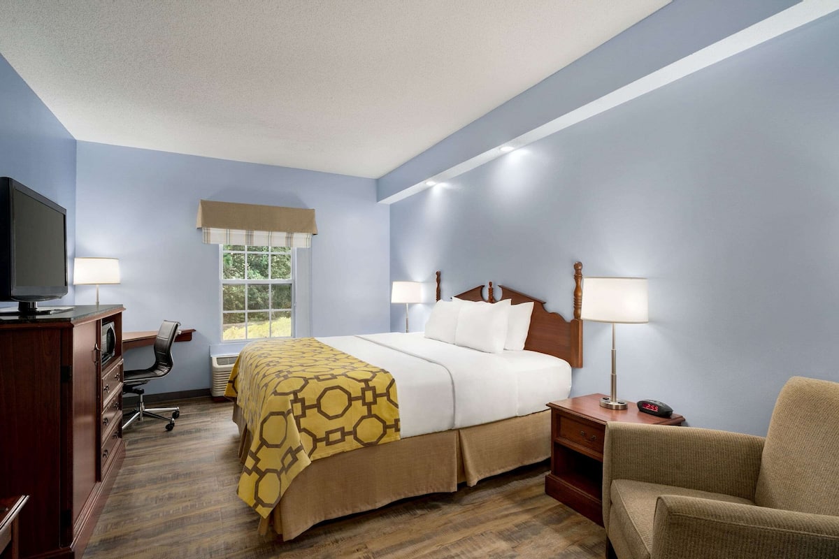 Room, 1 King Bed, Non Smoking (Pet Friendly)
