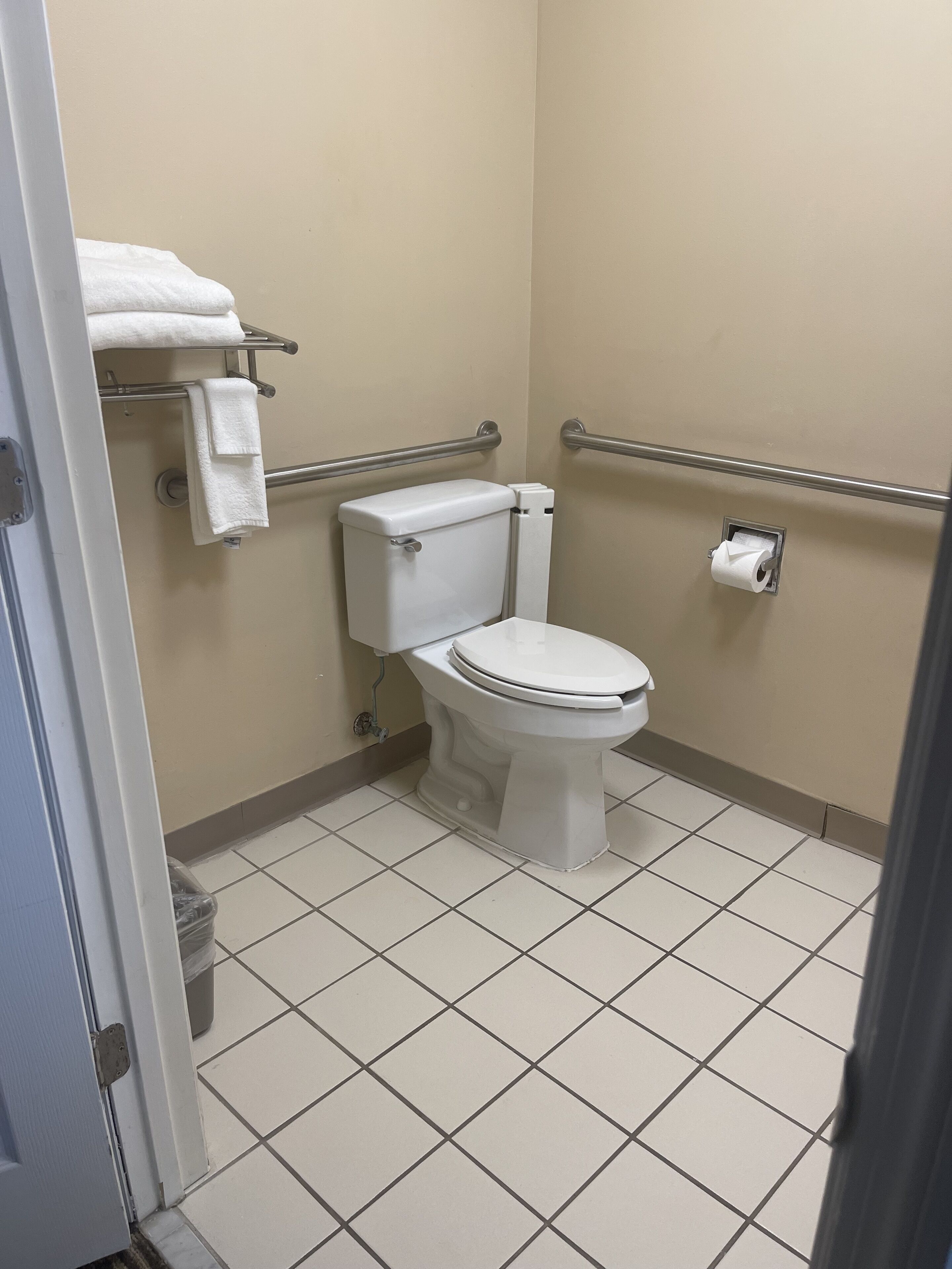 Un bagno piccolo e pulito, con il water, maniglie di sostegno e un porta asciugamani.
