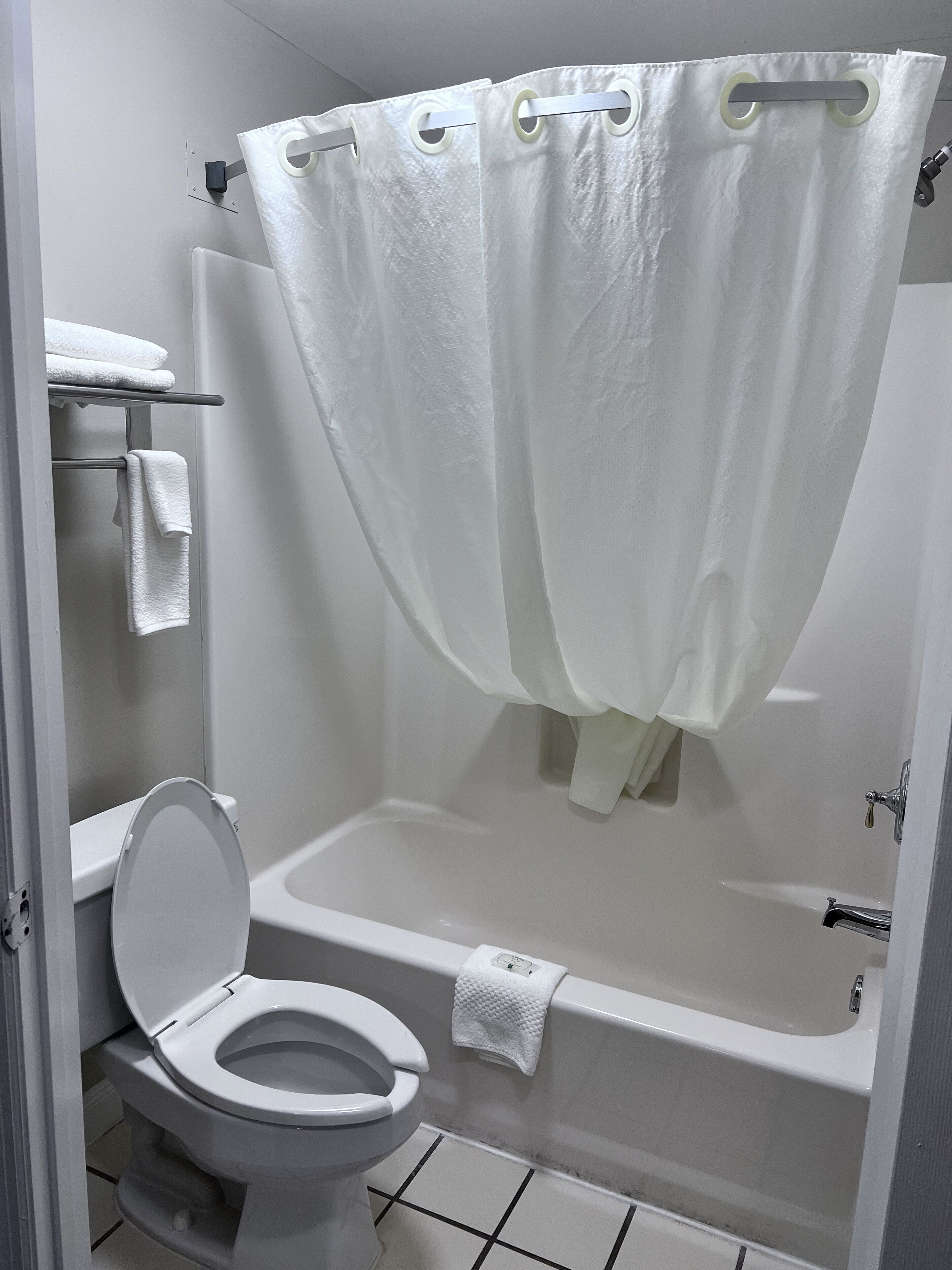 A bathroom with a toilet, a bathtub, and a shower curtain.